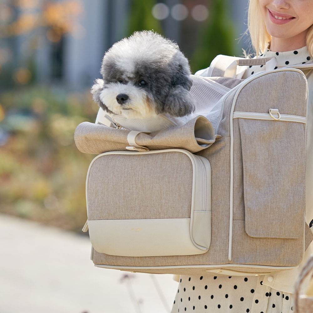 밀리옹 백허그백팩 이동가방, 강아지 고양이 이동가방
